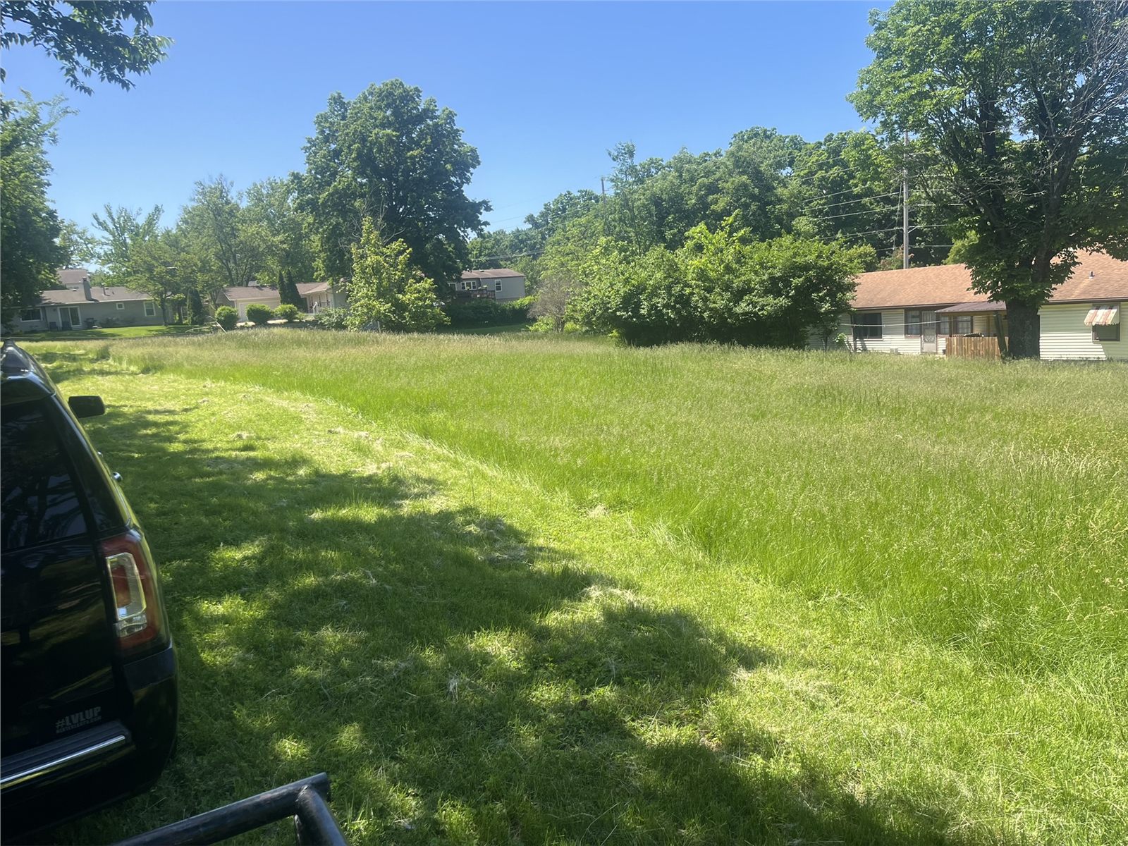 Overgrown residential lawn before JDV mowing and property maintenance