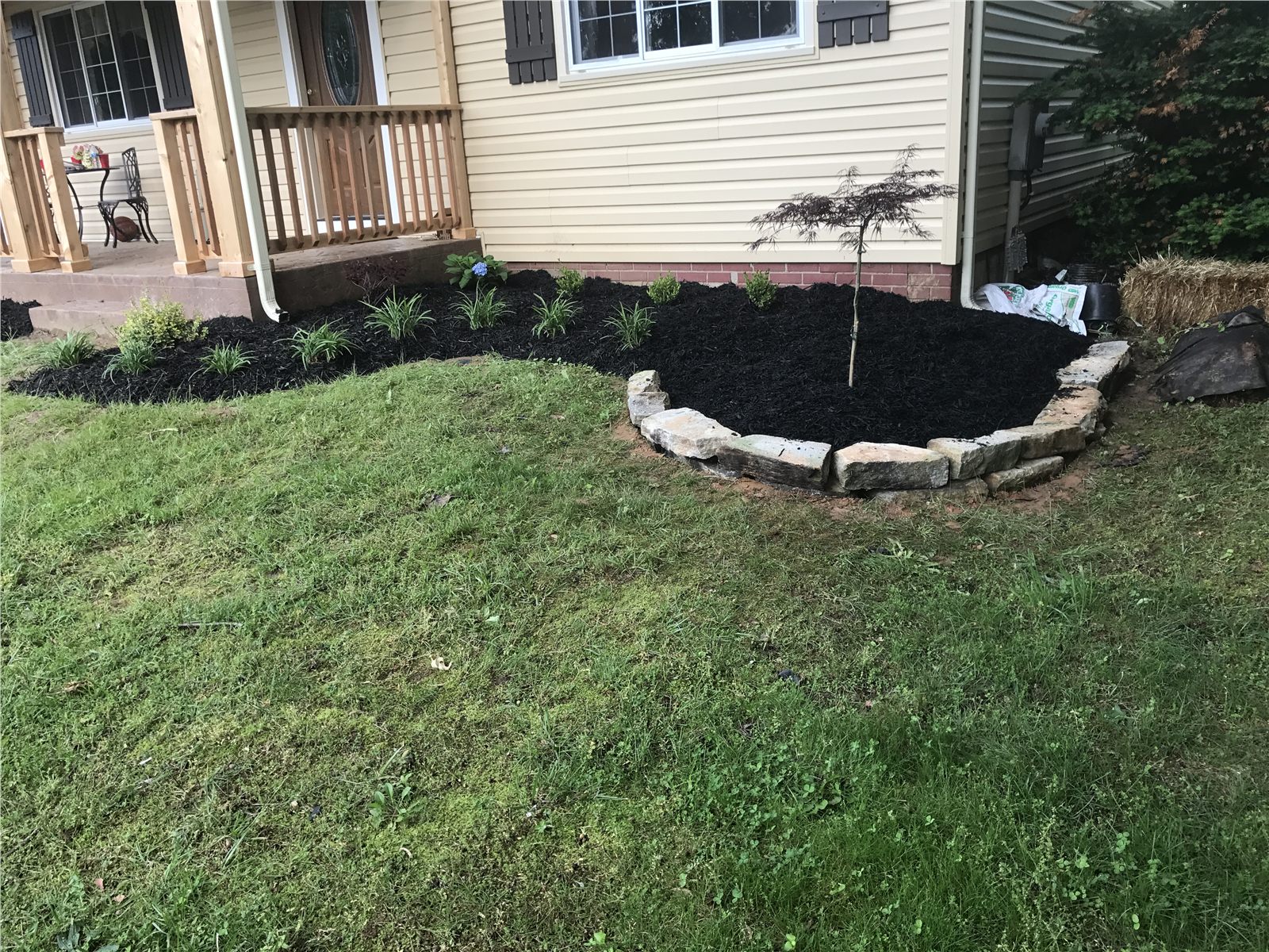 Fresh black mulch and new plantings in a residential landscape bed