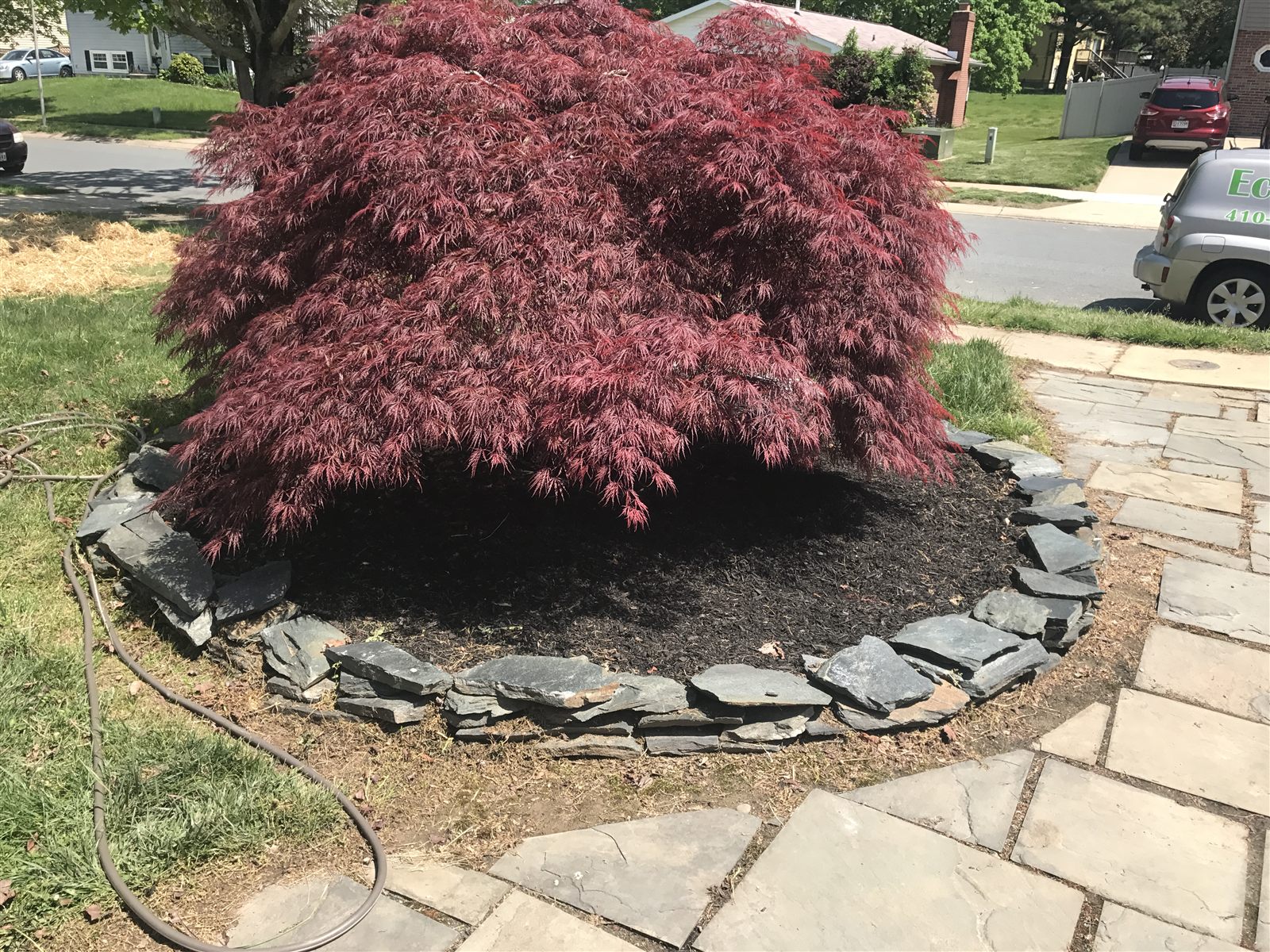Freshly mulched landscape bed around a mature ornamental tree